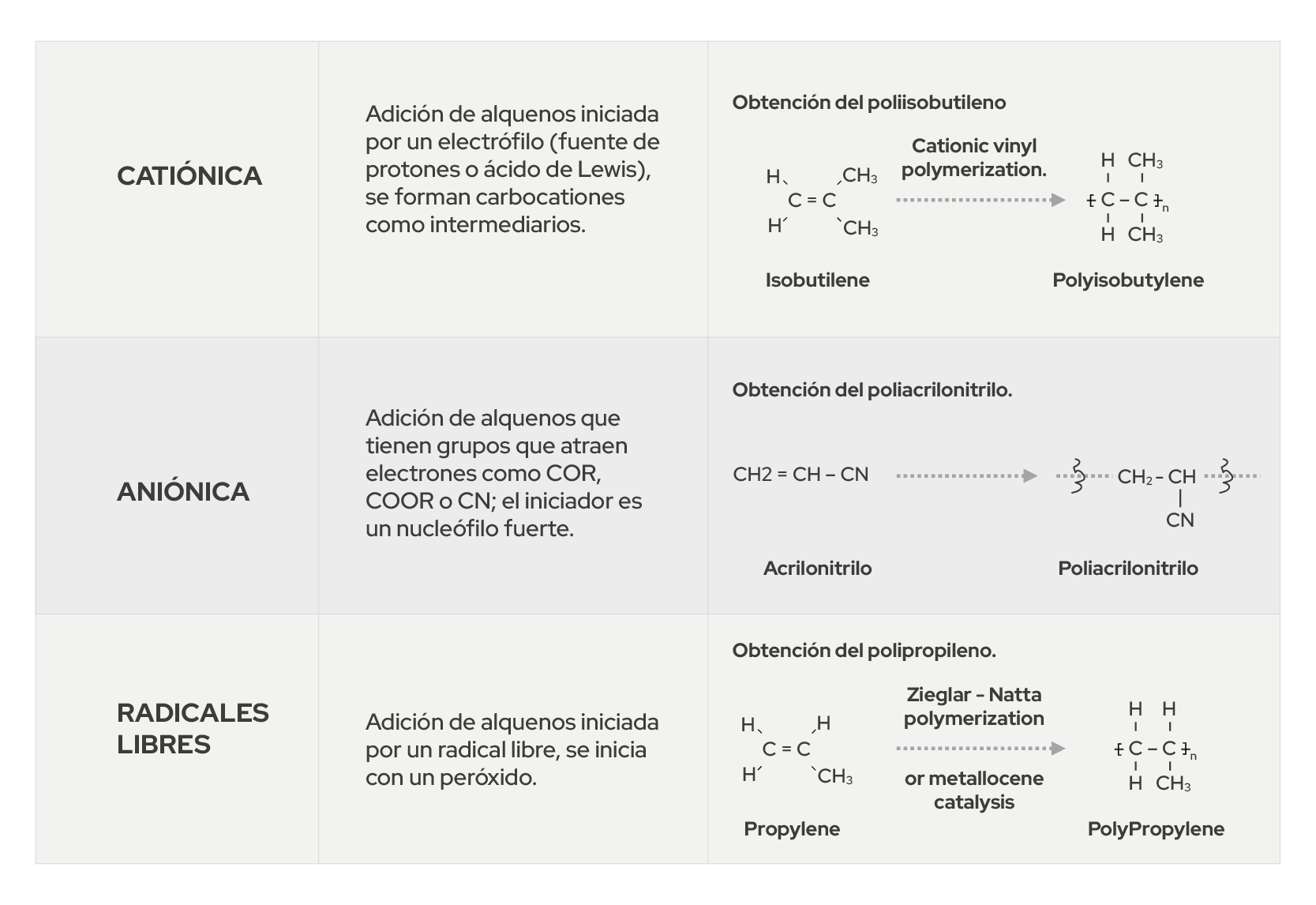 Imagen 12