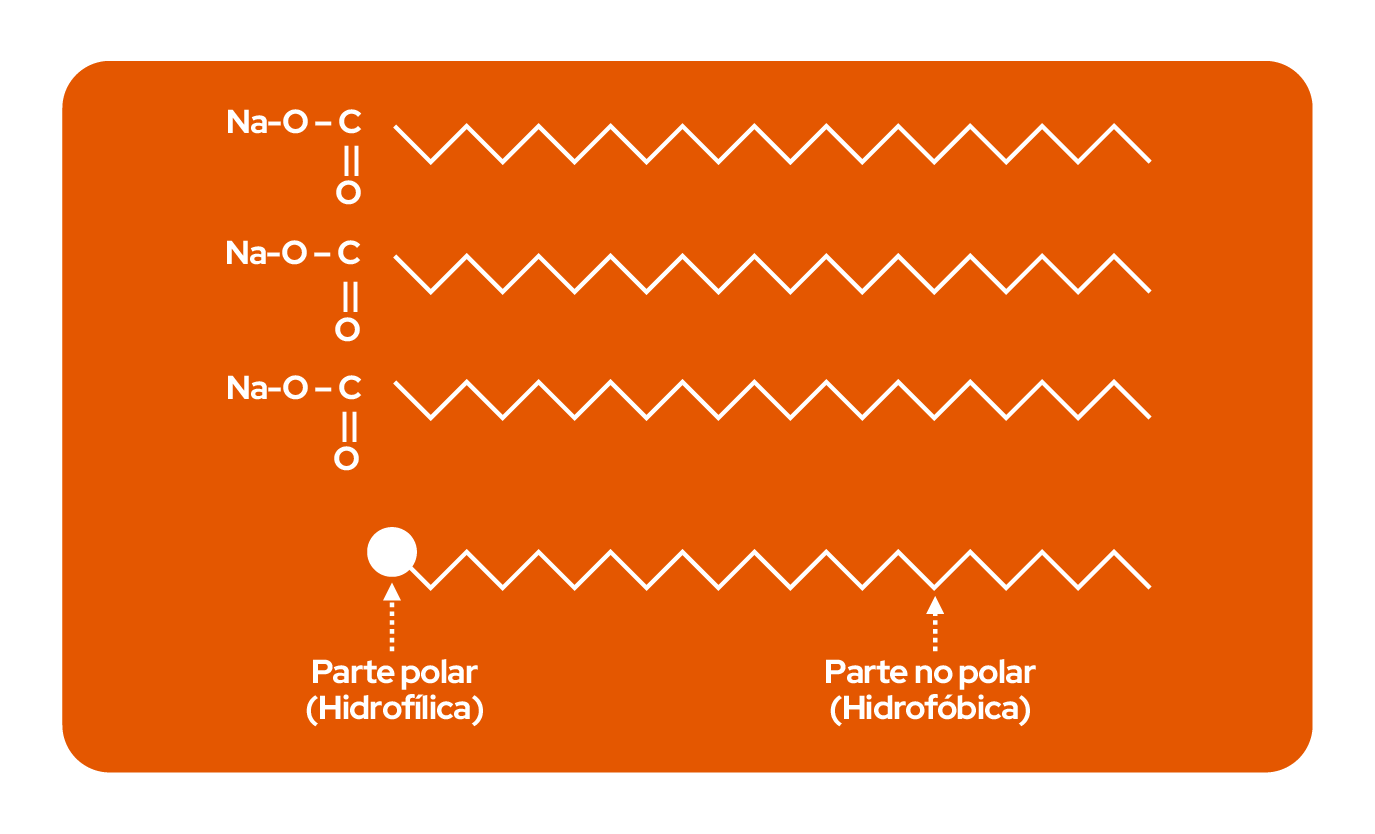 Imagen 23