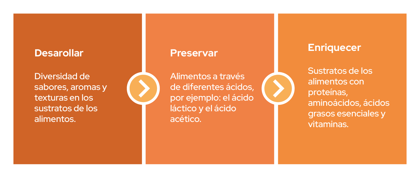 Imagen 26