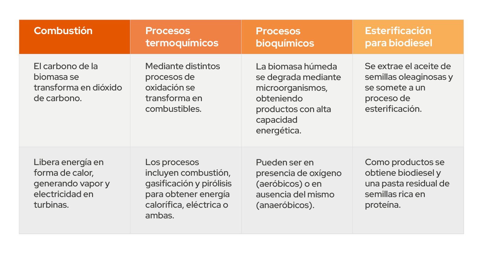 Imagen 30