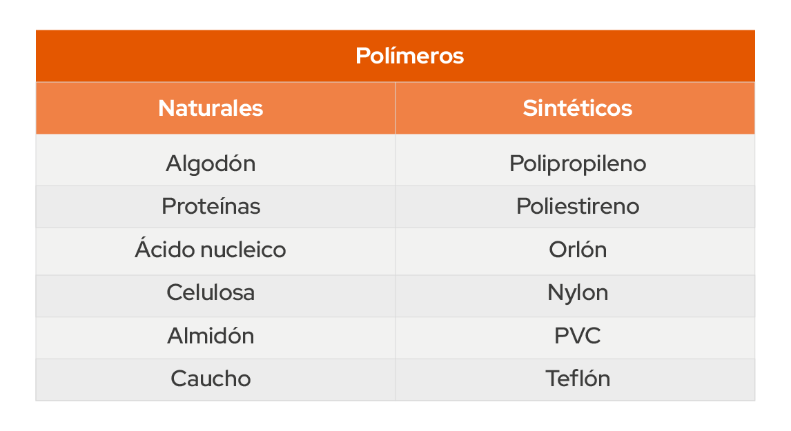 Imagen 9