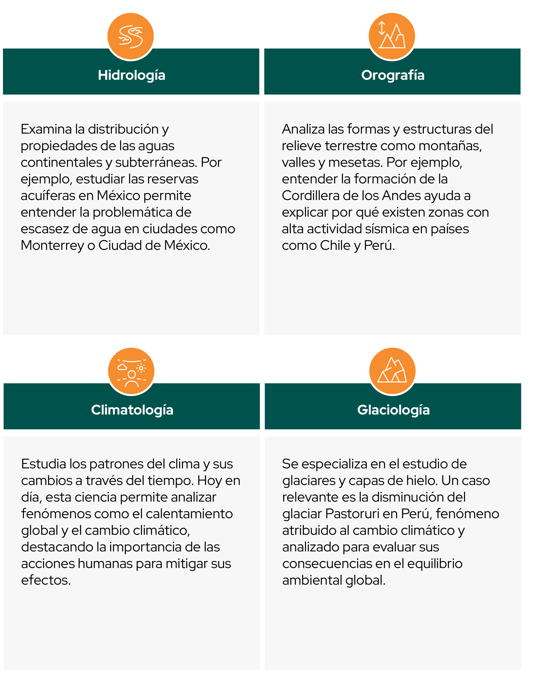 Imagen 7