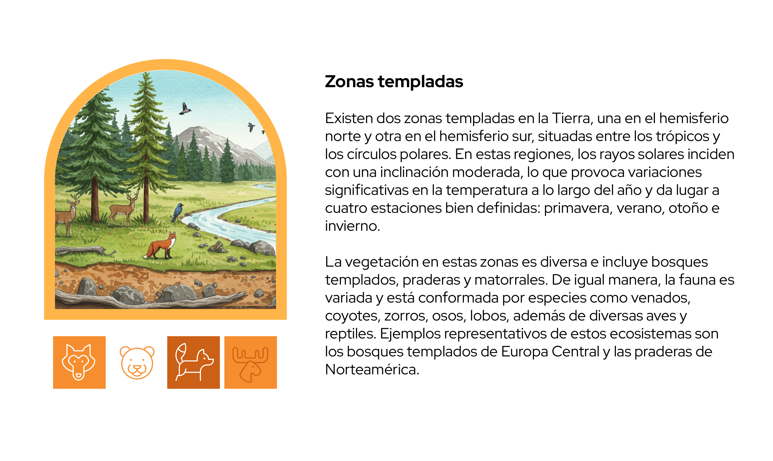 Imagen 10