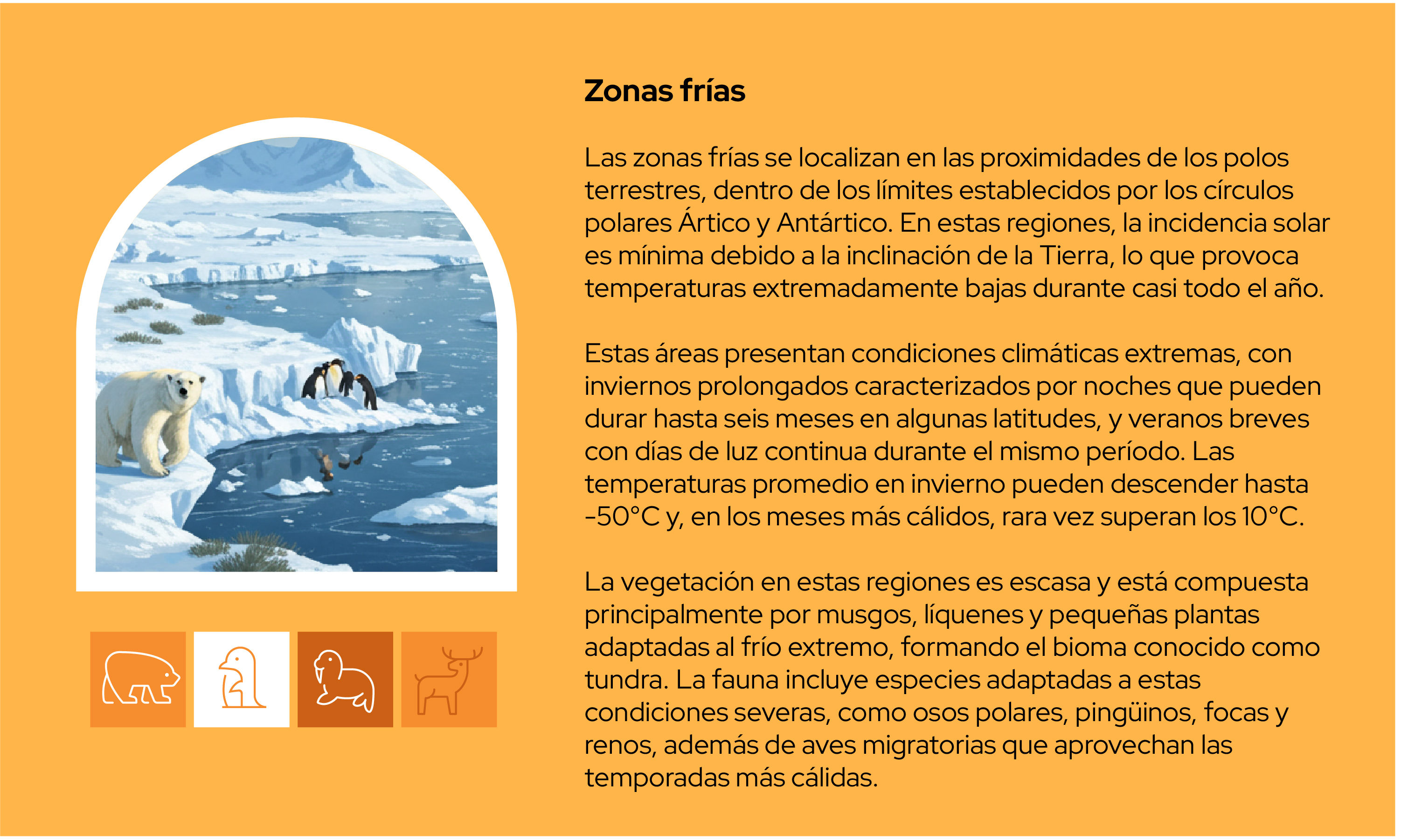 Imagen 11