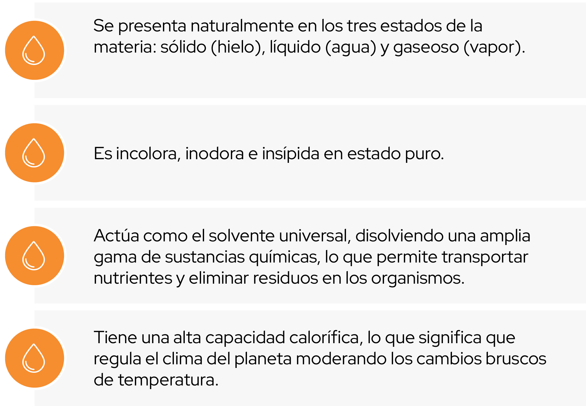 Imagen 16