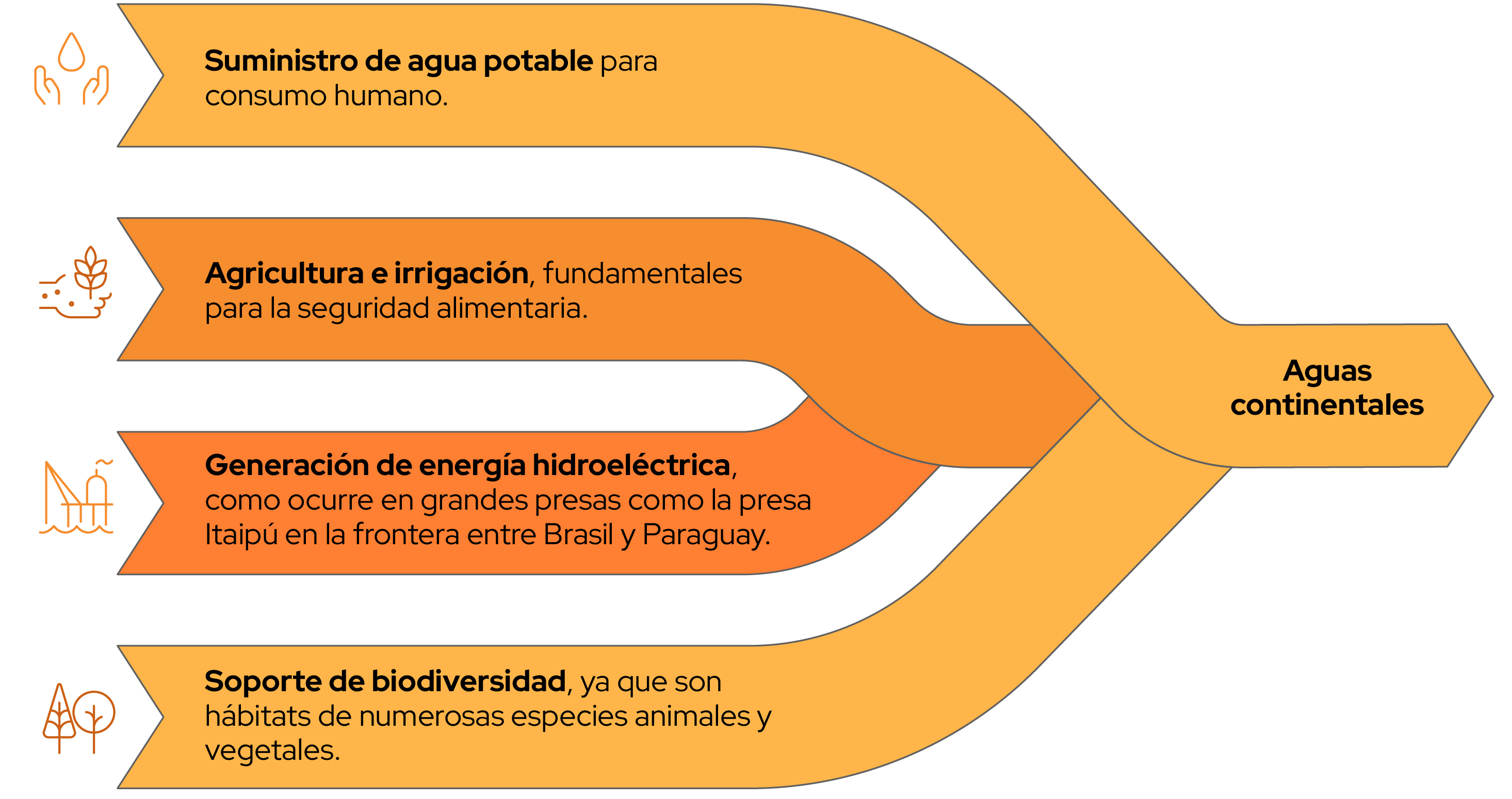 Imagen 27