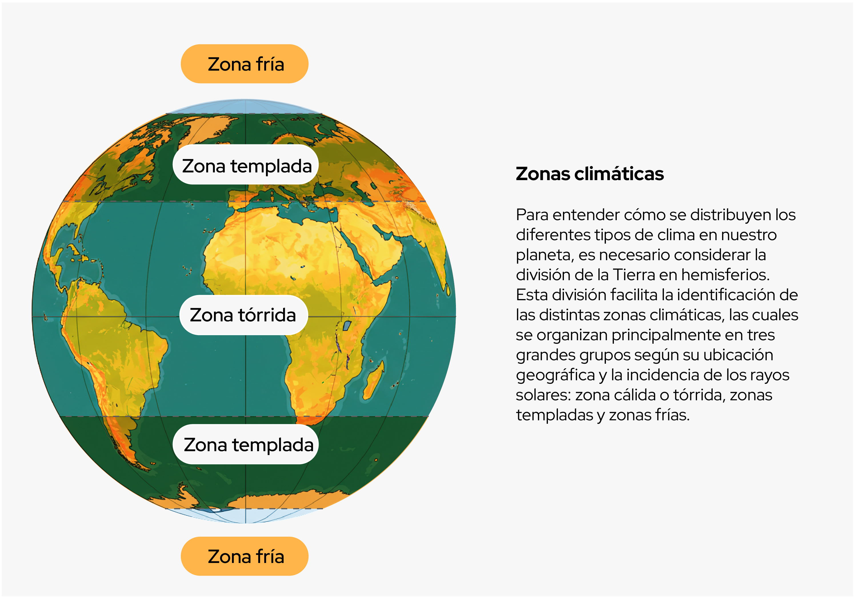 Imagen 8