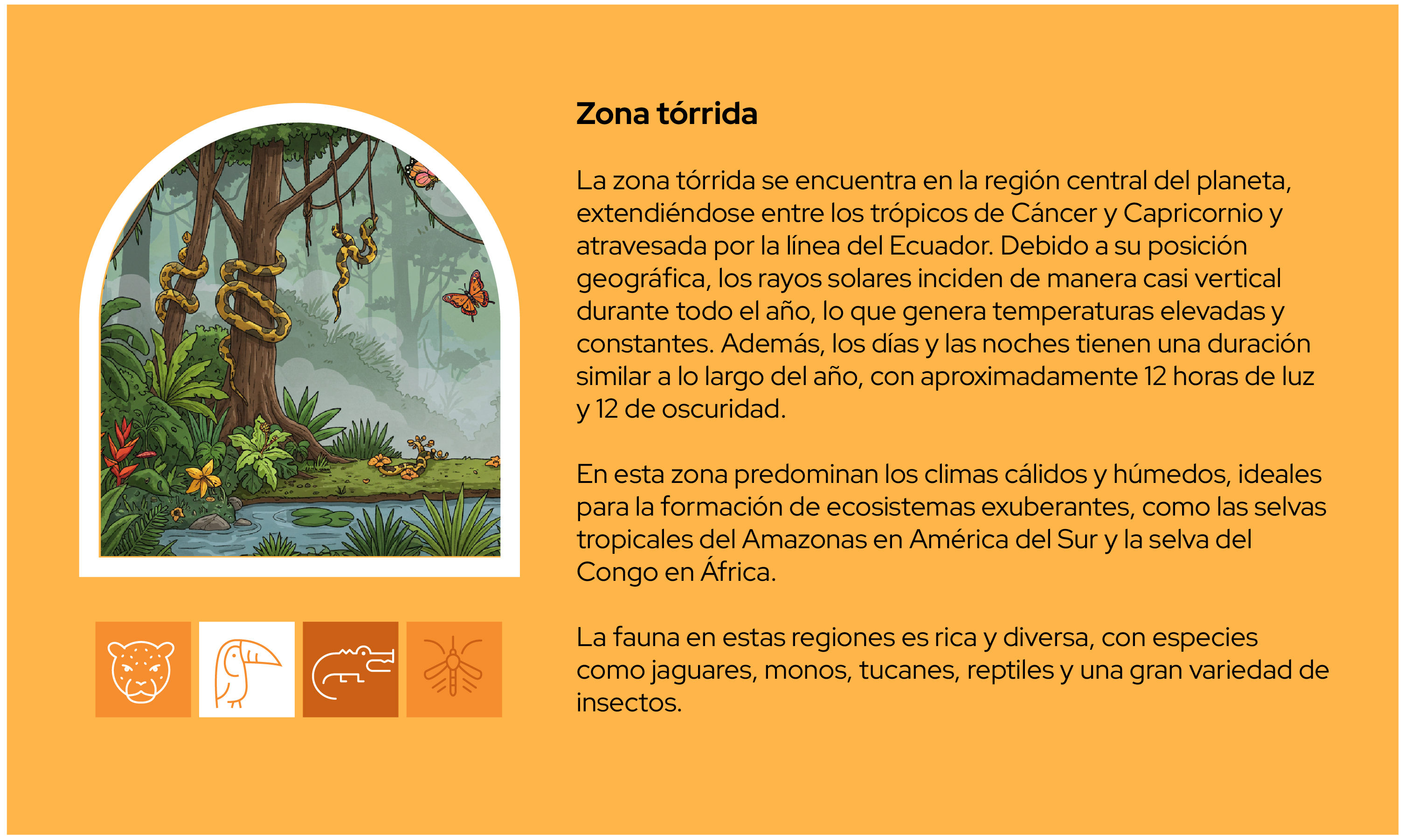 Imagen 9
