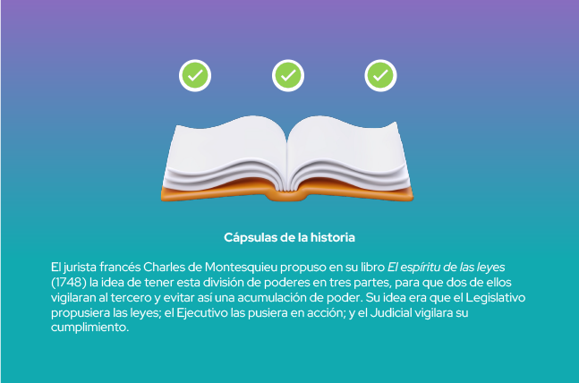 Imagen 11